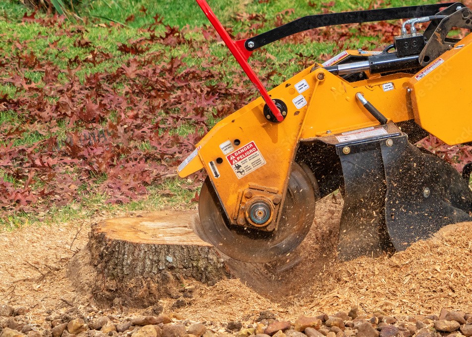 Stump Removal Service in West Milford, NJ