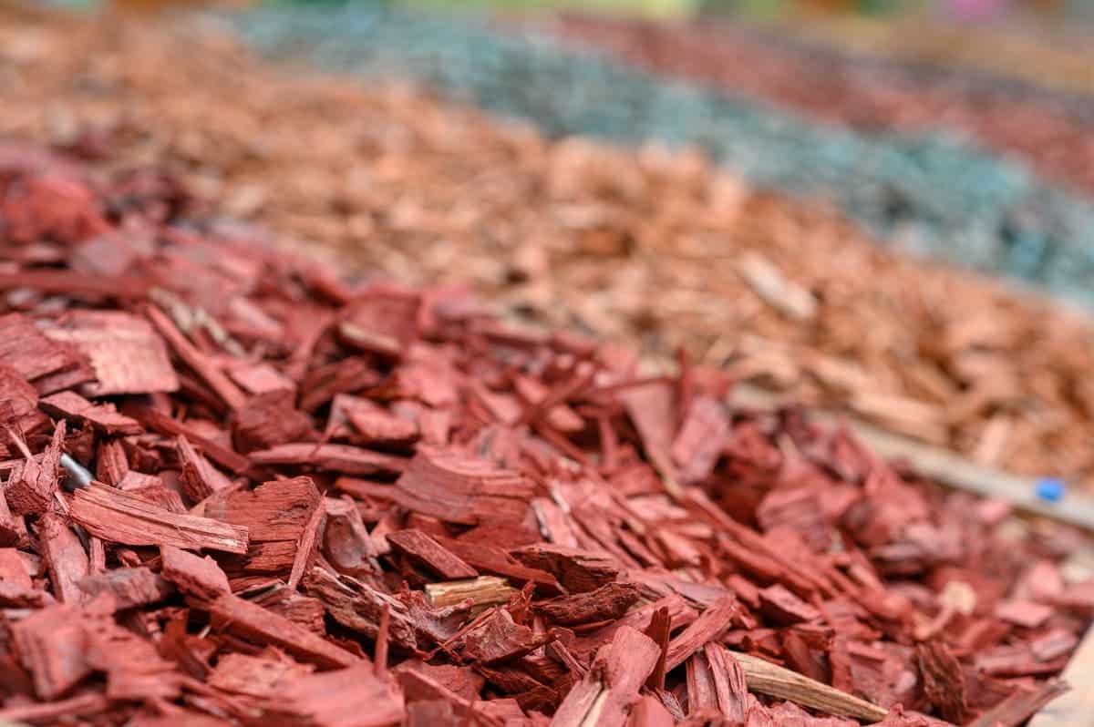 What Color Mulch Looks Best