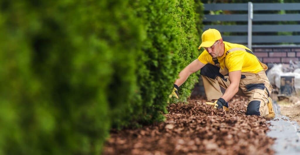 consider pros help to get a perfect mulch