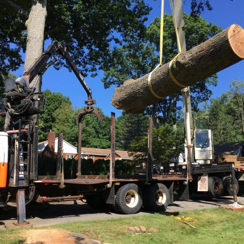 0321f841-520b-4c61-8565-fbd02c0f214e