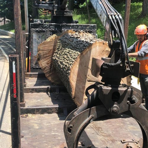 5c95ea3a-8282-418a-b40f-2fdc45fb7b33