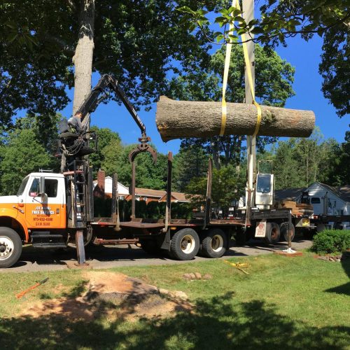 62e883ce-387d-46bf-9c88-73f682141f42