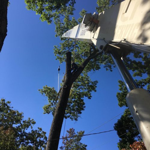 72a91163-140e-4101-aa60-53799e3b3f33